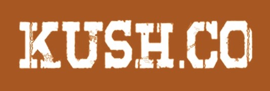 Casmart logo